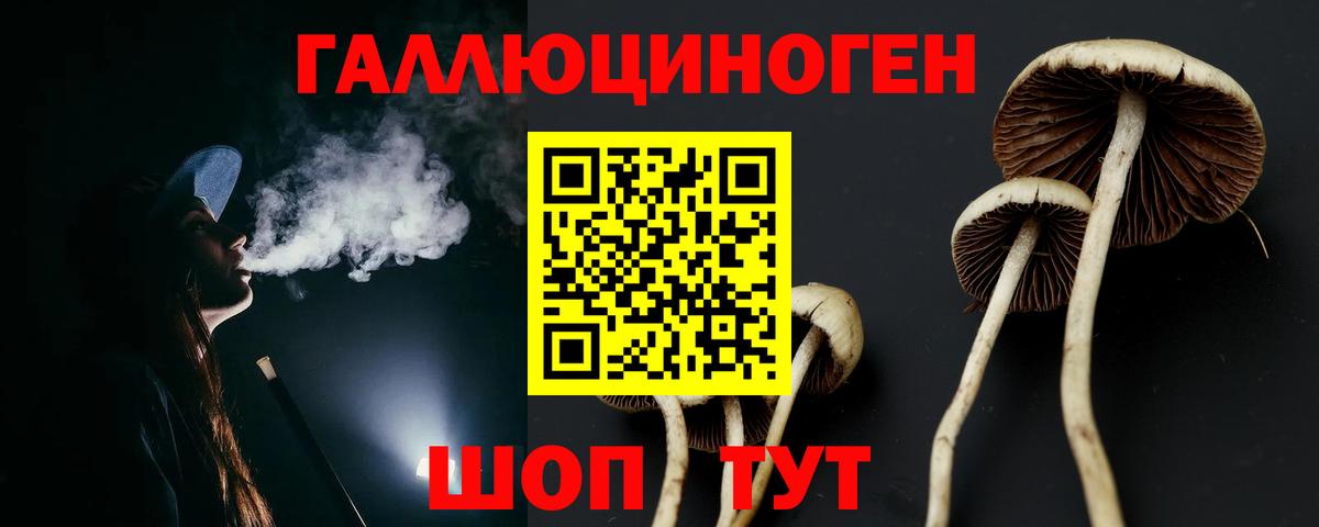 Псилоцибиновые грибы прущие грибы  Вход с VPN  Полевской  Псилоцибиновые грибы GOLDEN TEACHER 